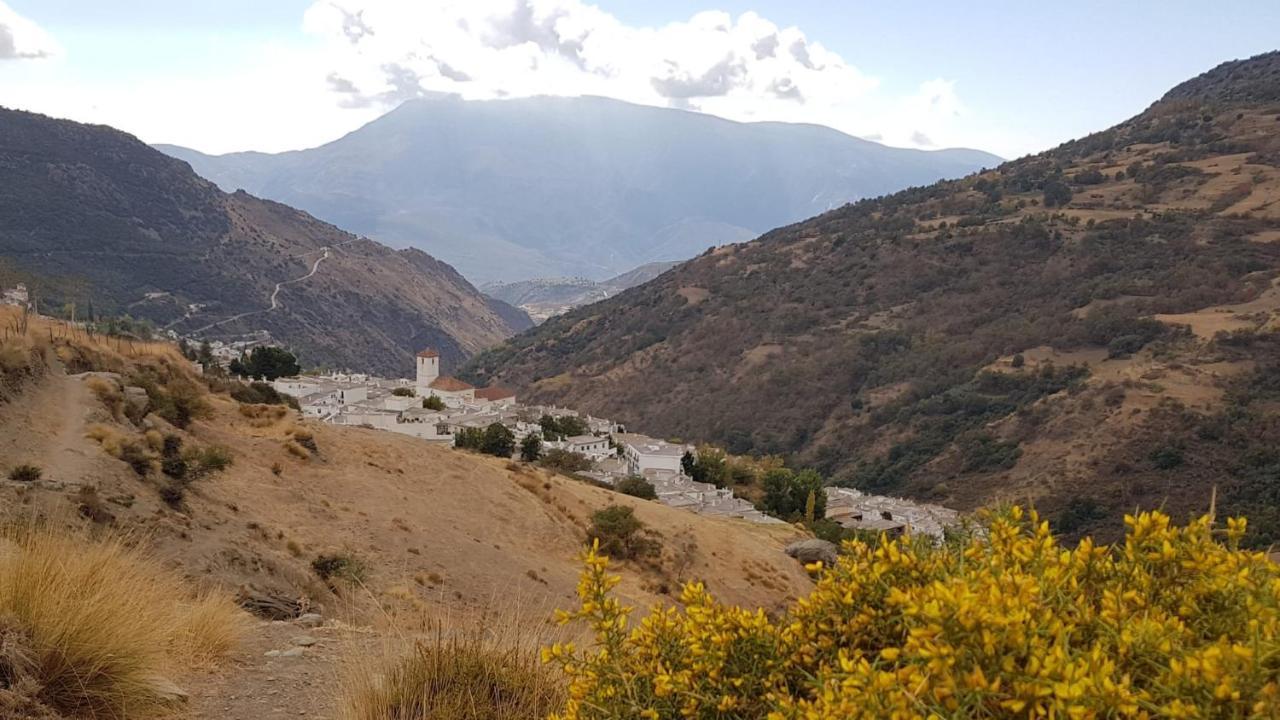 B&B La Granadilla Cónchar Buitenkant foto
